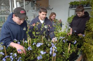 Getting boys in on climate action