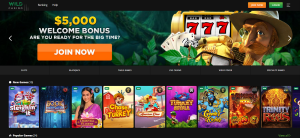 RoyalsTiger Gambling Establishment– Transactions en ligne sécurisées put parie en France