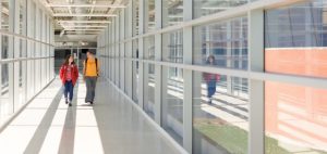 Iowa State University: Cross-disciplinary graduate programmes